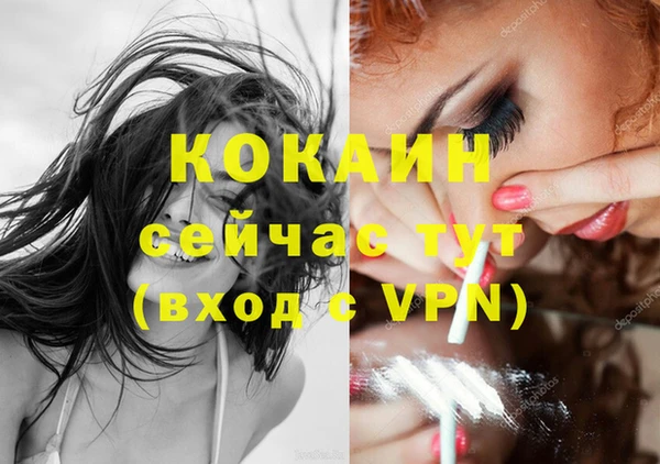 соль ск Новокубанск