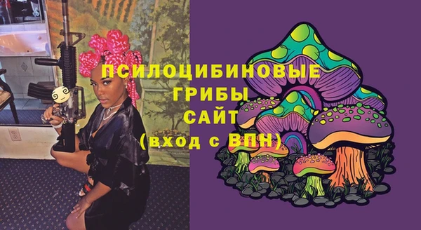 соль ск Новокубанск