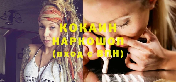 тгк Новозыбков