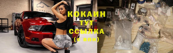 тгк Новозыбков