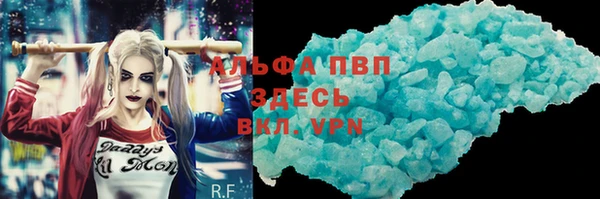 тгк Новозыбков