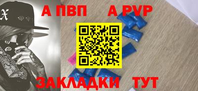 ешки Кингисепп