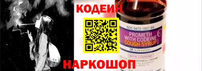 ешки Кингисепп
