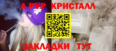 ешки Кингисепп