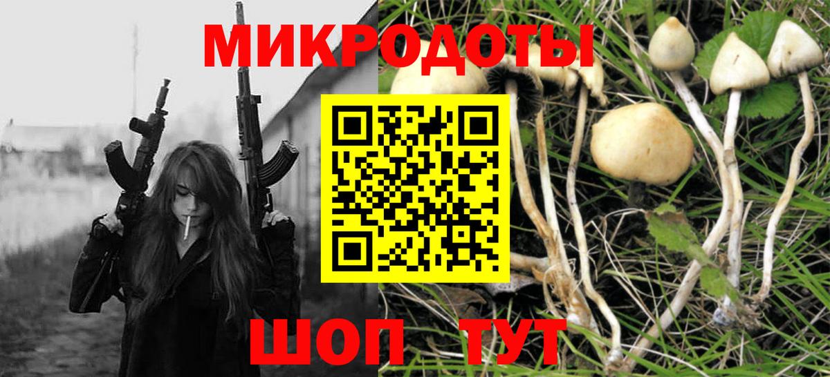 Галлюциногенные грибы Psilocybine cubensis  Вход с VPN  Галлюциногенные грибы прущие грибы  Саров 