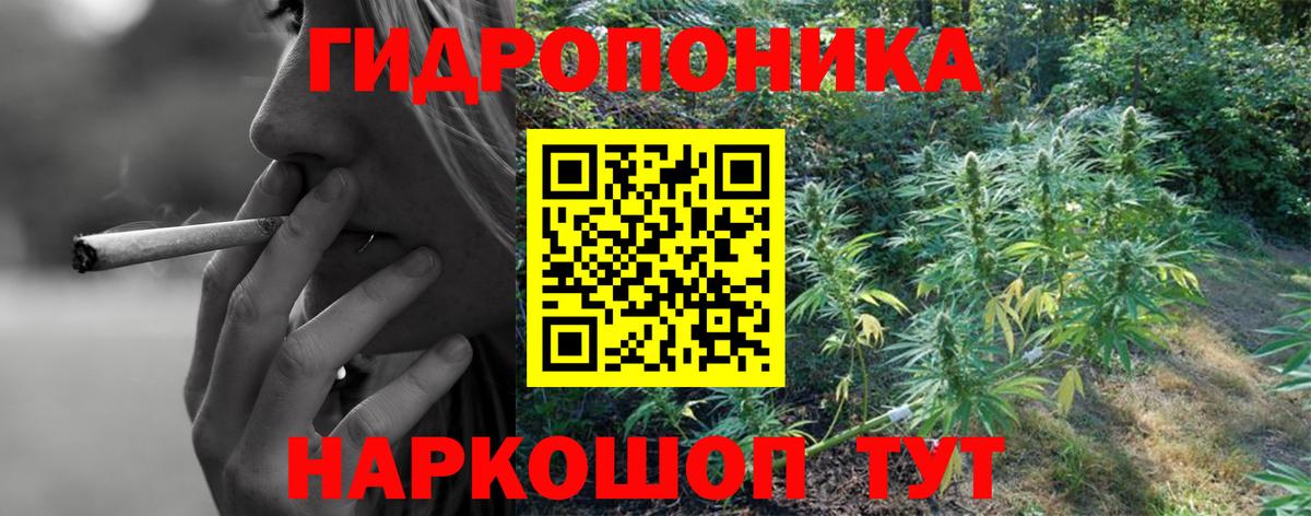 Каннабис гибрид  МАРИХУАНА план  Саров  Каннабис Ganja 